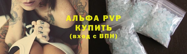 a pvp Аркадак