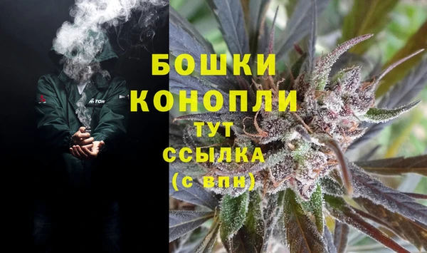 a pvp Аркадак
